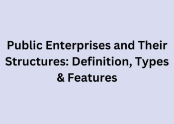 Public Enterprises and Their Structures: Definition, Types & Features