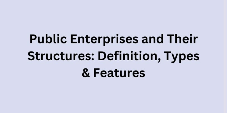 Public Enterprises and Their Structures: Definition, Types & Features