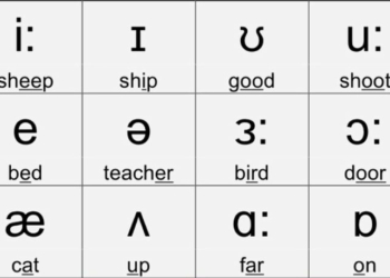 The 12 Monophthongs with Examples