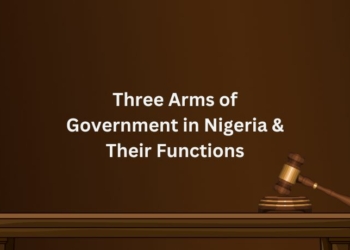 Three Arms of Government in Nigeria & Their Functions