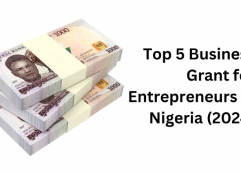 Top 5 Business Grant for Entrepreneurs in Nigeria (2024)