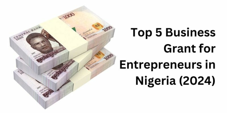 Top 5 Business Grant for Entrepreneurs in Nigeria (2024)