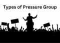 Types of Pressure Group