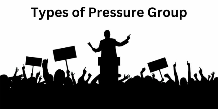 Types of Pressure Group