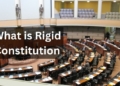 What is Rigid Constitution