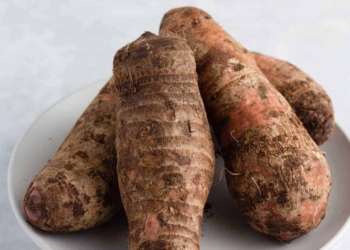 Benefits of Cocoyam