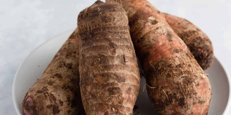 Benefits of Cocoyam