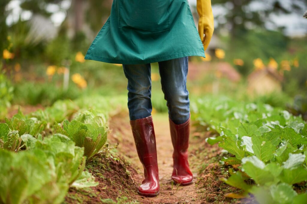 The Best Time to Plant Vegetables