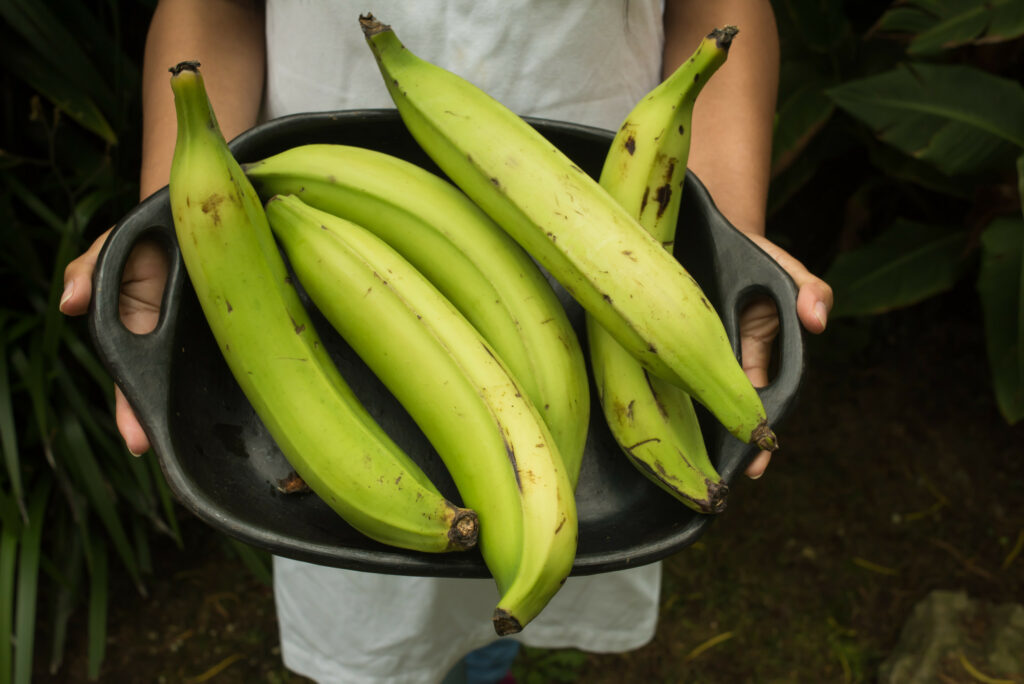 Plantains