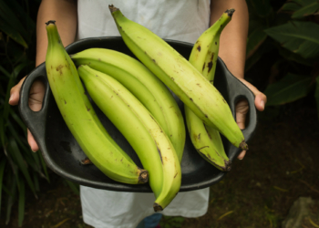 Plantains