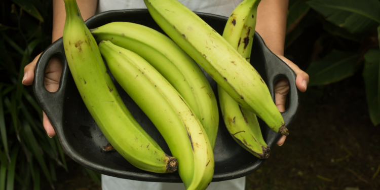 Plantains