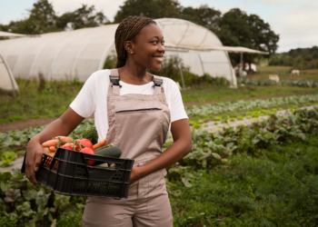 Vegetable garden techniques