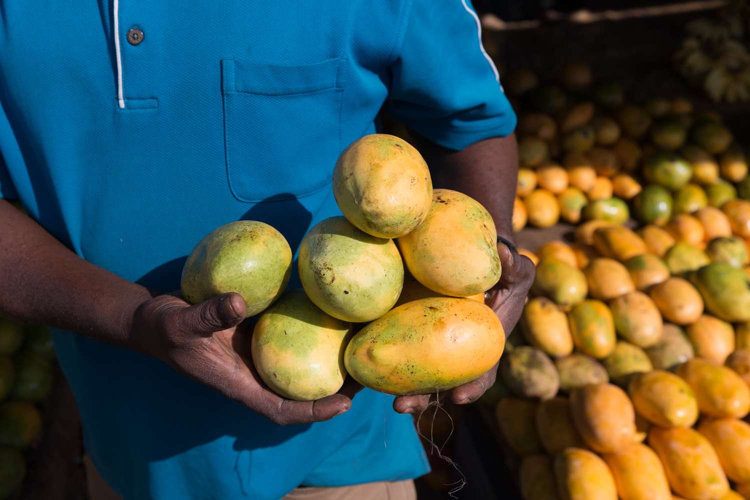 African Mango