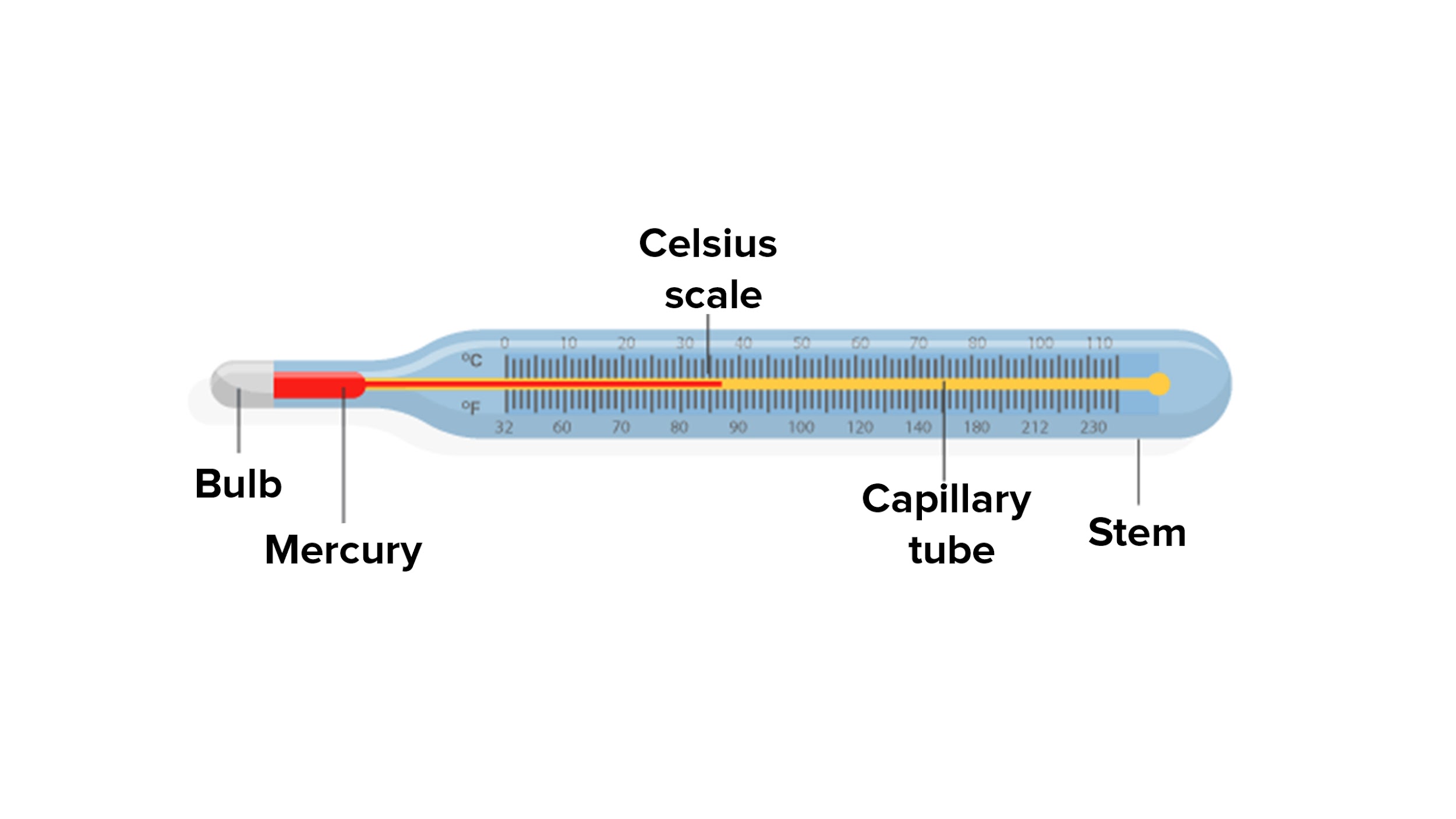 Clinical Thermometer