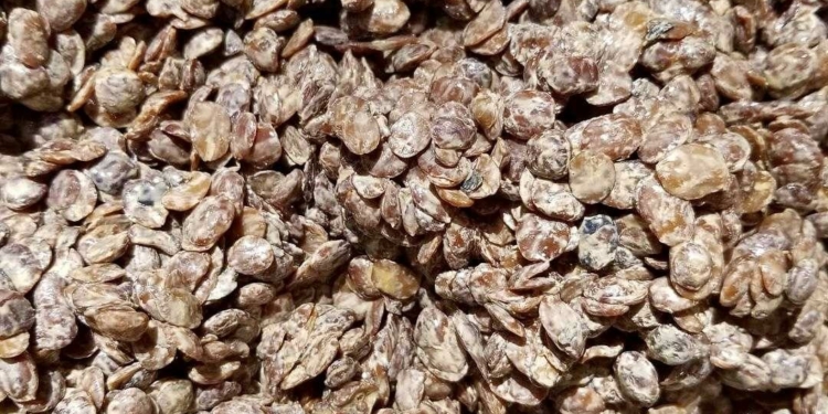 Benefits of Locust Beans