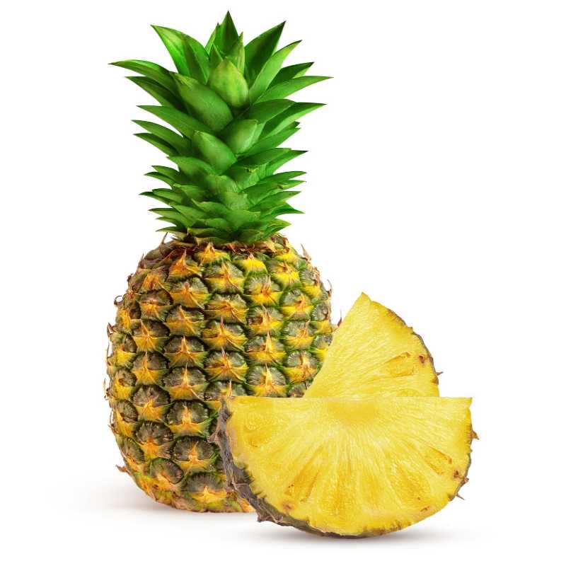 Pineapple Scientific Name