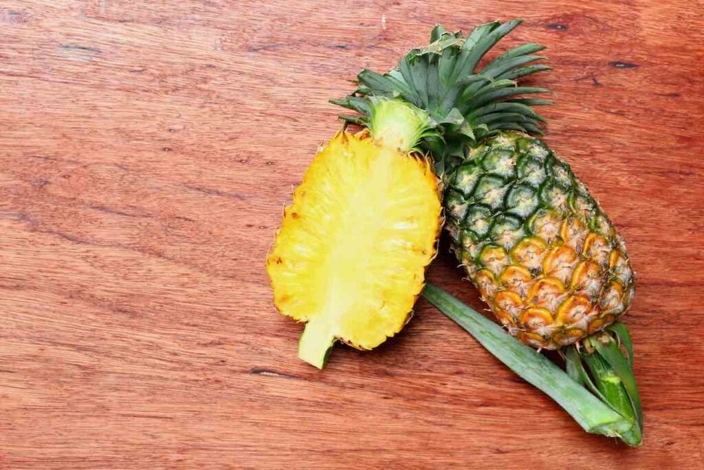 Pineapple Scientific Name