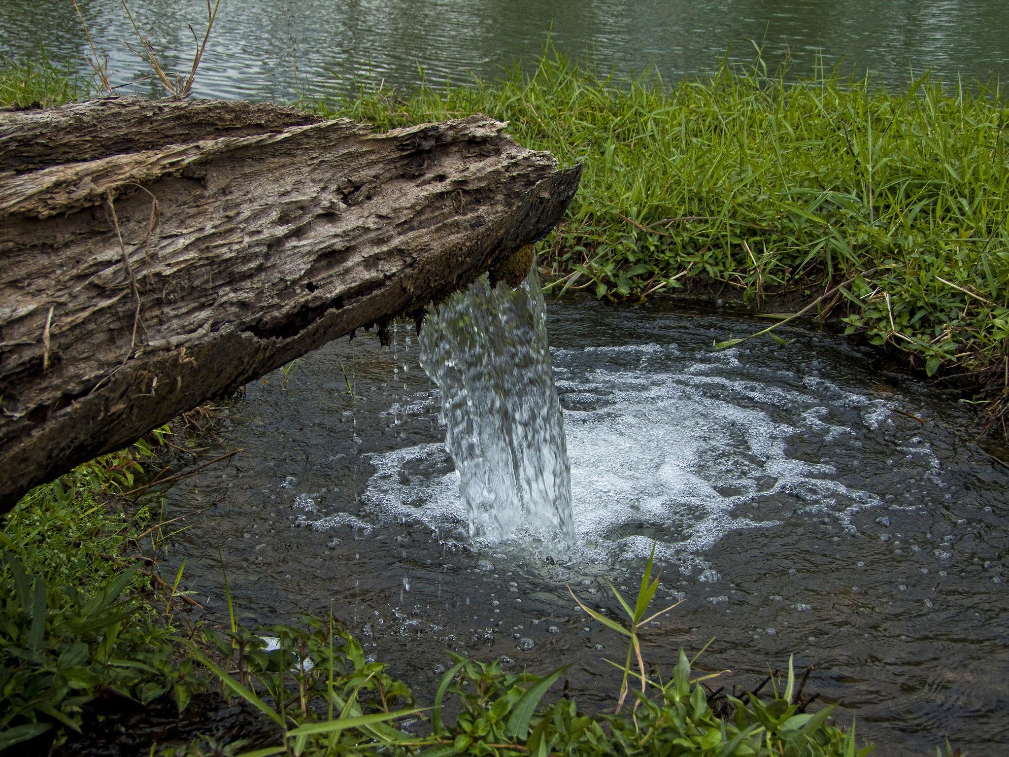 Types of Water