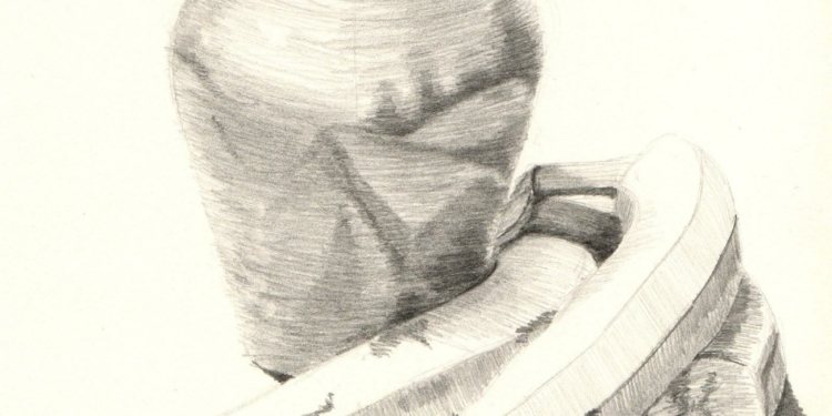 Still Life Drawing