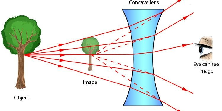 Concave Lens