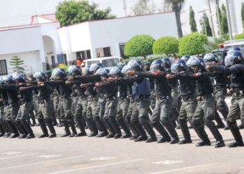 An Overview of the Nigeria Police Force