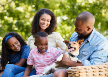 What To Consider Before Choosing a Dog for your Family