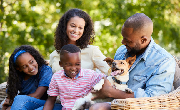 What To Consider Before Choosing a Dog for your Family