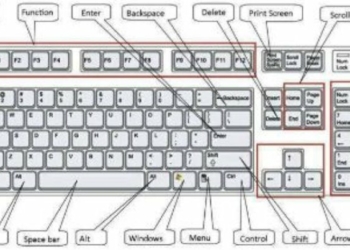 Parts of Computer Keyboard