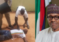 Collapsed Peace Corps Nigeria officer, President Muhammadu Buhari