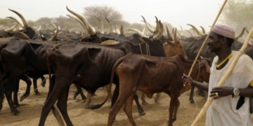 Fulani herdsmen