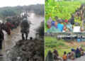 Troops storm Boko Haram hideout in Borno, rescue 21 civilians