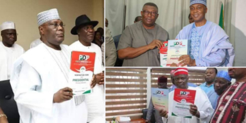 PDP 2019 presidential Aspirants