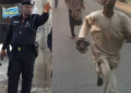 Nigerian Police, man on the run