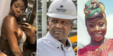 Symbas Erothick, Aliko Dangote