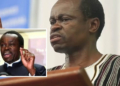 Professor PLO Lumumba