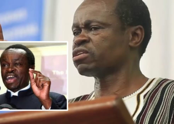 Professor PLO Lumumba