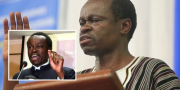 Professor PLO Lumumba