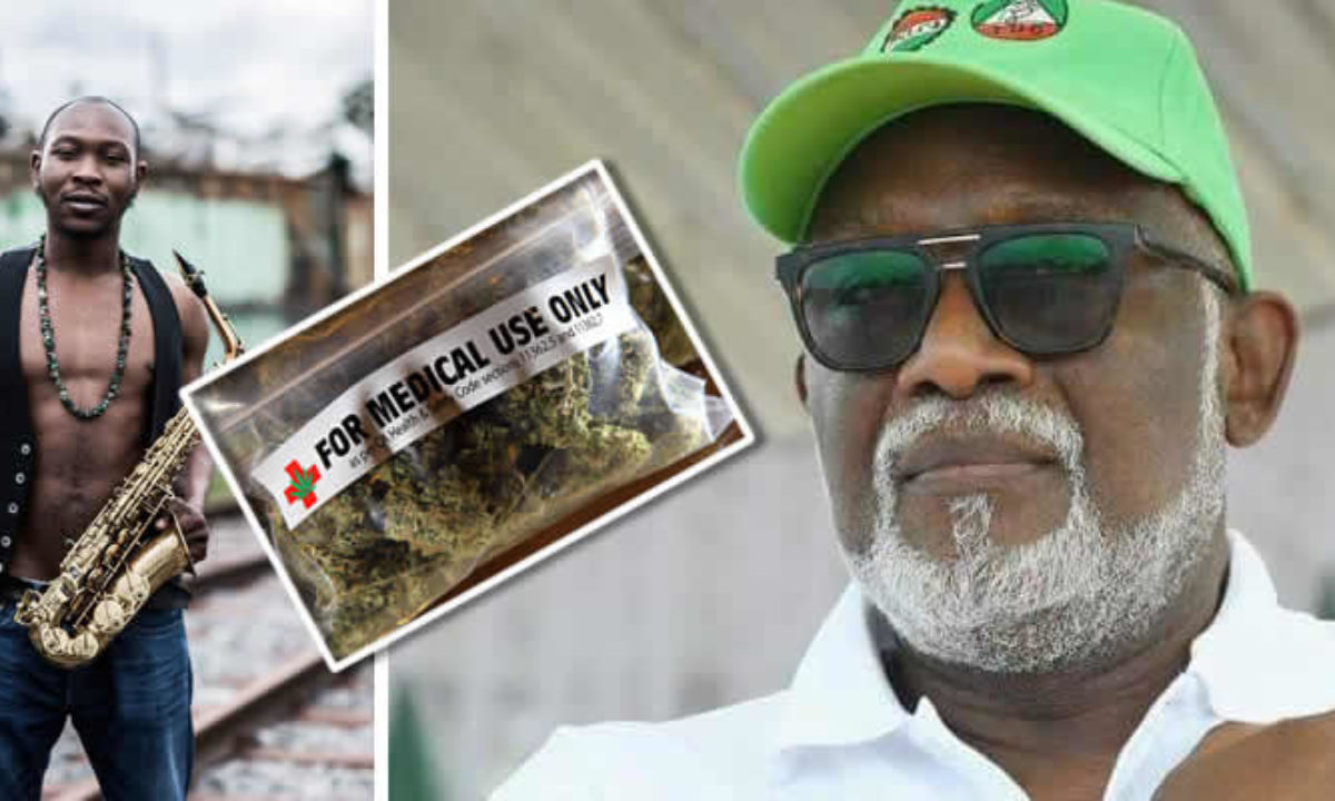 Marijuana Seun Kuti To Relocate To Ondo State Following Akeredolu Cultivation Plans