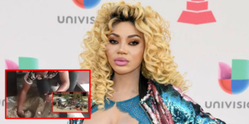 Dencia defends of the carpenter.