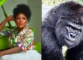 Omawumi Reacts To Gorilla Swallowing N6.8m