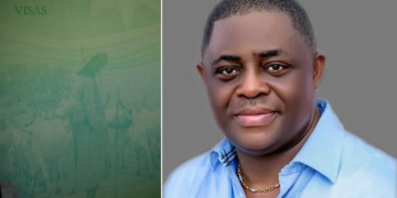 A page in Nigerian Passport, Femi Fani Kayode