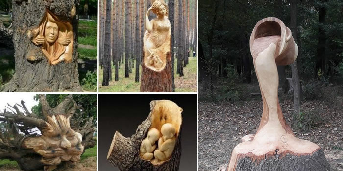 beautiful artworks carved from trees