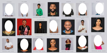 Top 10 Big Brother Naija housemates