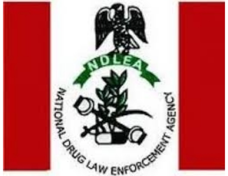 Ndla Porns - NDLEA promotes 2,788 workers