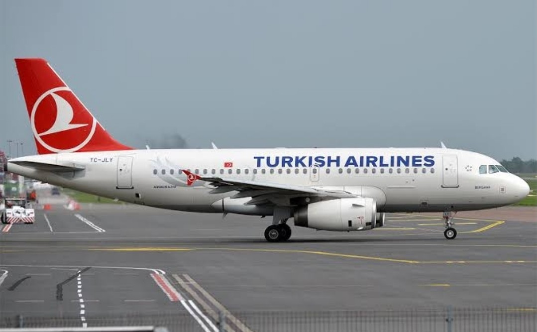 turkish airlines baggage international flights