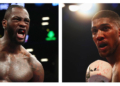 Deontay Wilder, Anthony Joshua