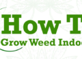 Ultimate guide to growing Marijuana indoors