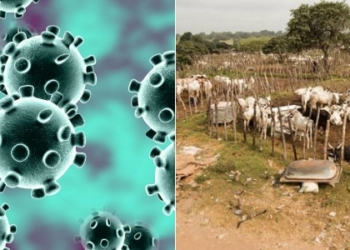 Coronavirus: Stay in bush till it is over, Miyetti Allah to members