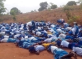 Group of church women spotted lying on the road in Benue, praying against Coronavirus