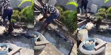 Lady calls out fruit sellers for allegedly washing their fruits with gutter water in Agungi